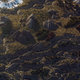 Illustration for article titled Here's Another Wonderful Map to Play Minecraft on